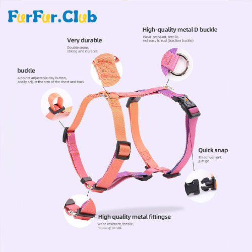 Durable and Adjustable Dog Harness: Ultimate Comfort and Safety