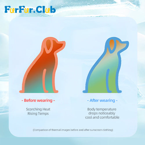 Ultimate Summer Dog Sun Protection Shirt: Lightweight, Breathable, and UV-Resistant